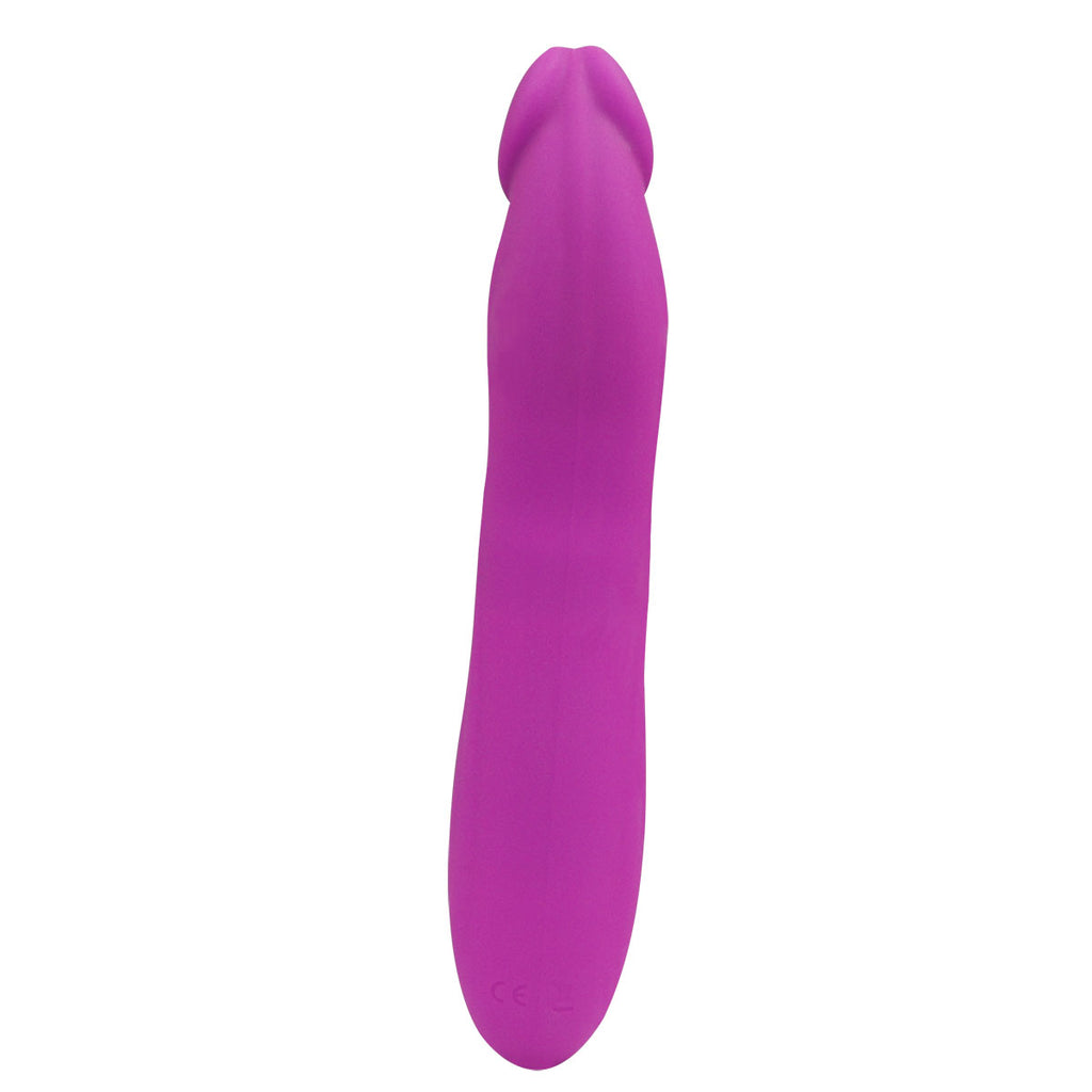 Femme Funn Booster Rabbit - Purple Rabbit Vibrator My Girlfriends Secrets